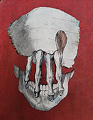 Peau de colle par Emma Forestier 1