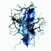 Perceptions micro.cosmiques par Lucie O’ Moon 1