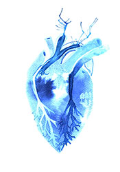 Perceptions micro.cosmiques par Lucie O’ Moon 2