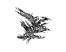 Expositions Collective par Yoann Gourbet - Irene Rengifo - Tayl Jallat 1