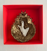 In/Ex-Vitae par Pauline L. (Curiosités) & Lucie O'Moon (Encres) 4